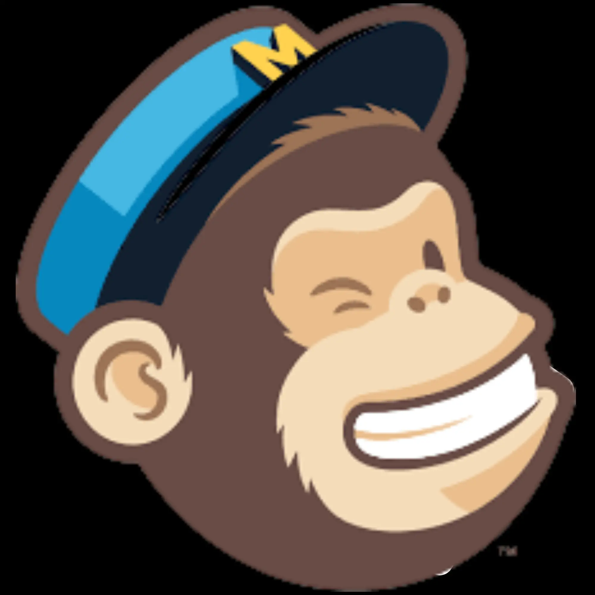 Mailchimp Email Marketing Tool